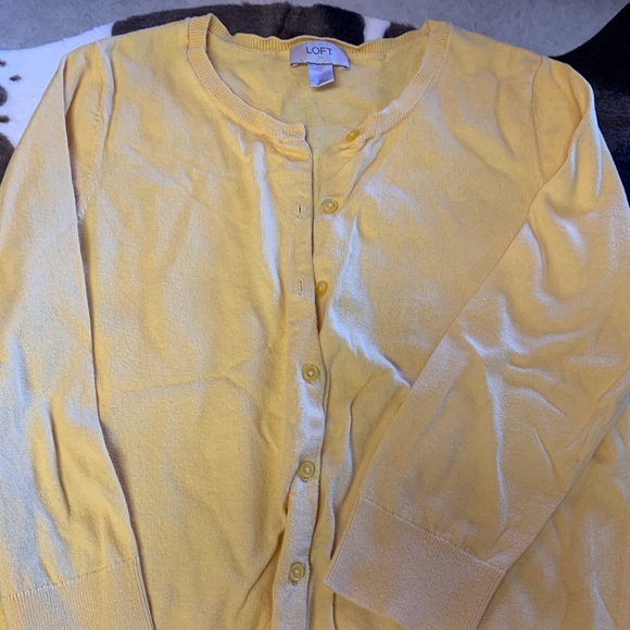 Cardigan Sweater - Picture 2 of 4